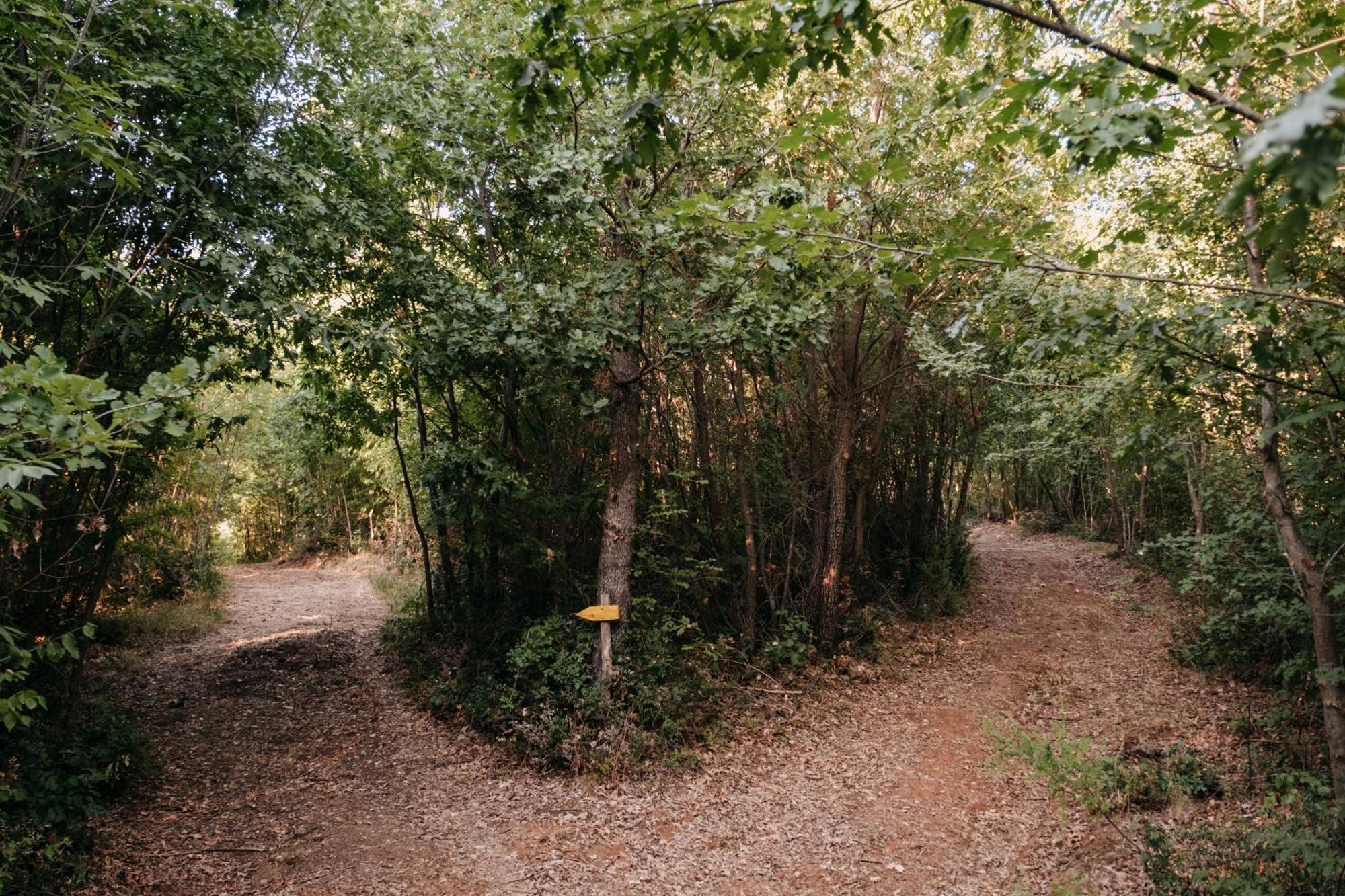 Poggio Al Vento Villa Manciano Kültér fotó