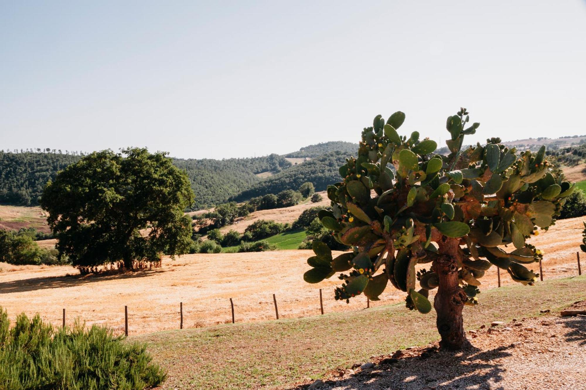 Poggio Al Vento Villa Manciano Kültér fotó